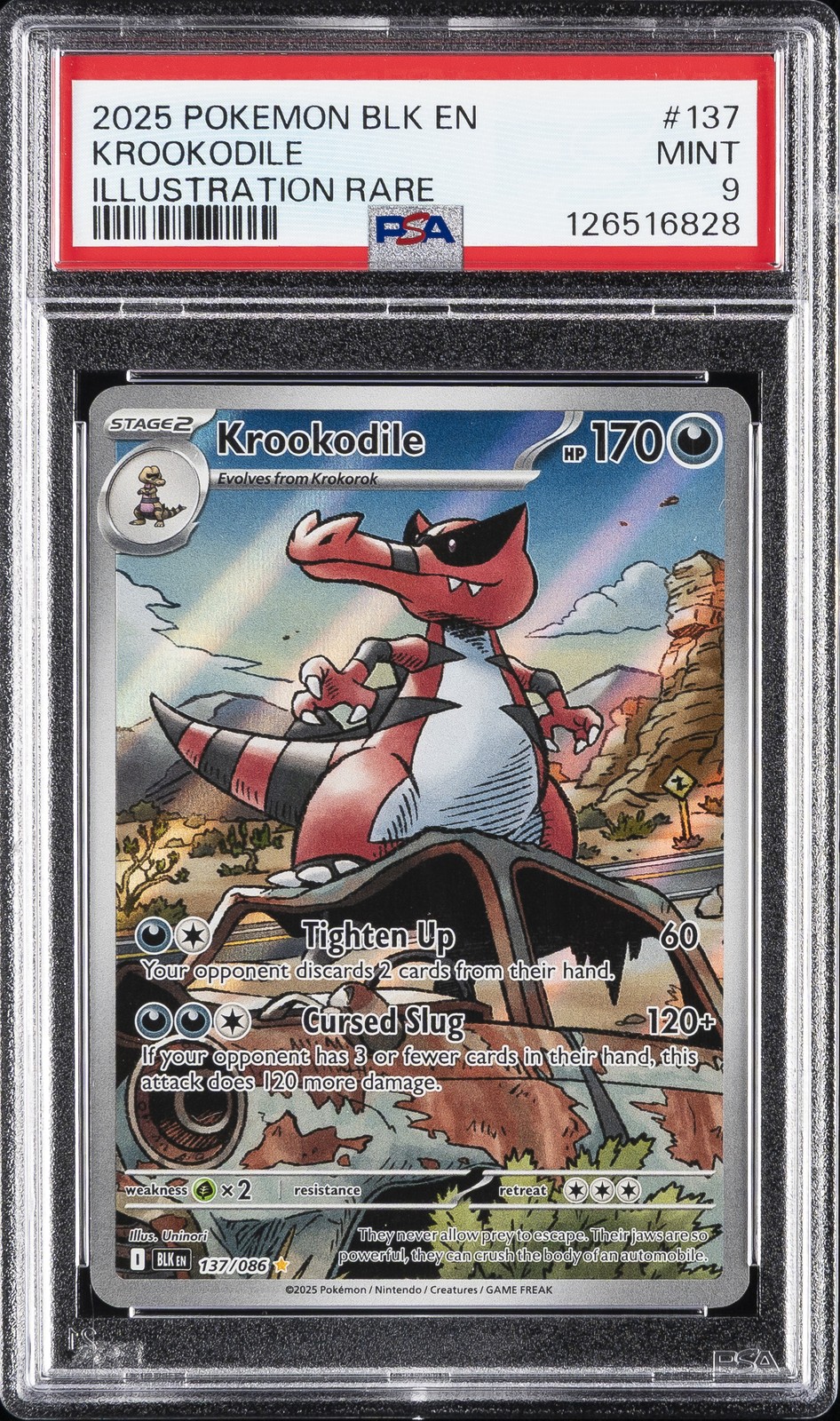 Krookodile #137