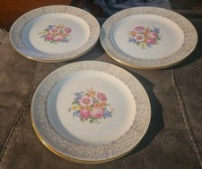 Homer Laughlin Nautlis Cáscara de Huevo Nautilus Floral 6 Platos de Cena Plato 9.5" E52N8