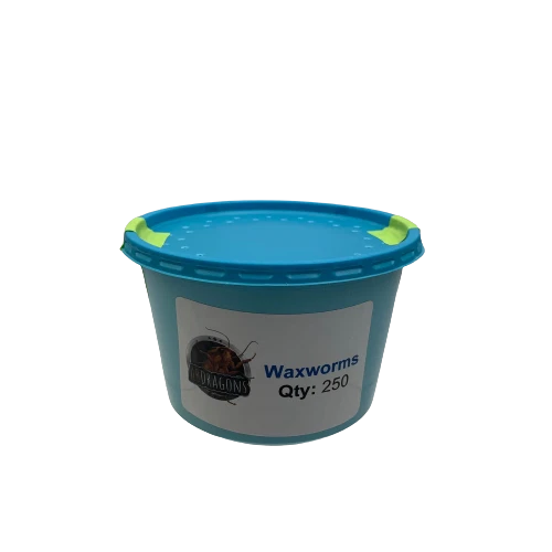 Gusanos de cera vivos Cantidad: 250-1.000 alimentación de reptiles/pesca USPS envío gratuito y FedEx Foto 3 de 4