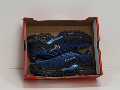 Nike TN Air Max Plus GS `Nature Blue` DV3484-001 | eBay