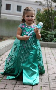 chasing fireflies elsa dress