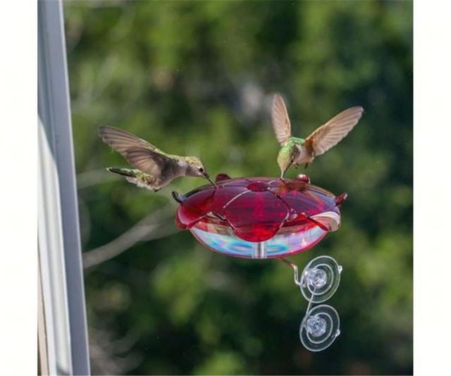 Droll Yankees Ruby Sipper Window Hummingbird Feeder Made In Usa