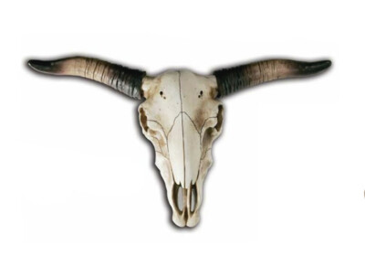 Bison-Schädel Großer Deko-Skull Big Longhorn Wanddekoration