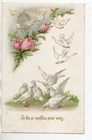 FANCY card - doves - pigeons - flowers - lightly embossed