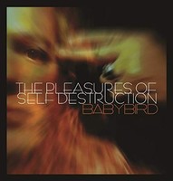 Babybird - Pleasures Of Self Destruction - Cd - F600Z