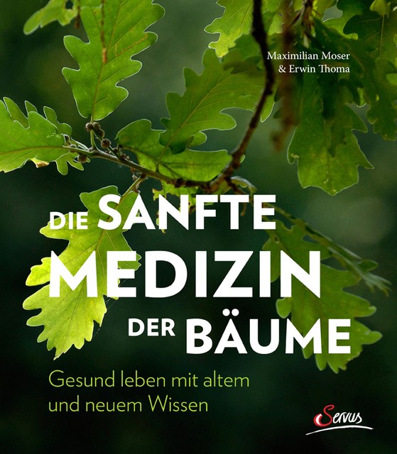 Die sanfte Medizin der Bäume Erwin Thoma - Bild 2