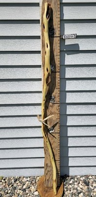 Diamond Willow Walking Stick Wood Cane 70'' Hand Crafted Beautiful Functional Art
