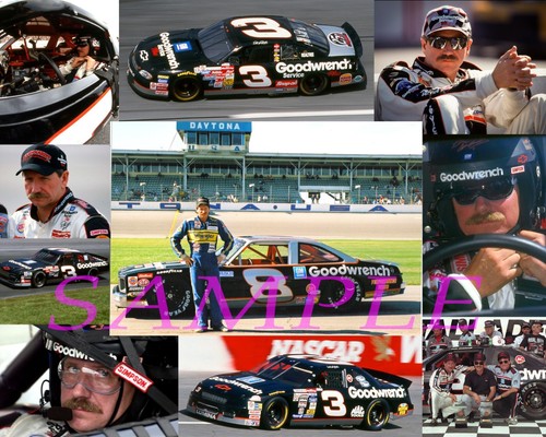 DALE EARNHARDT AWESOME TRIBUTE COLLAGE 8X10 GLOSSY PHOTO #2