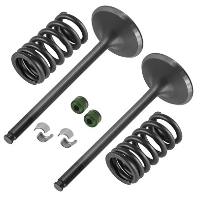 Zylinderkopf-Einlass- und Auslassventil-Kit passend for CRF 450 CRF450R 2002–2006, OEM# 14711-MEB-670 14721-MEB-670 12209-GB4-682 Motorradzubehör