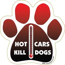 Hot Cars Kill Dogs Dog Paw Car Magnet