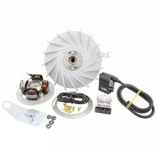 ACCENSIONE ELETTRONICA PINASCO FLYTECH CONO 17 RACING 1,6 Kg VESPA VN1 VN2 VN3