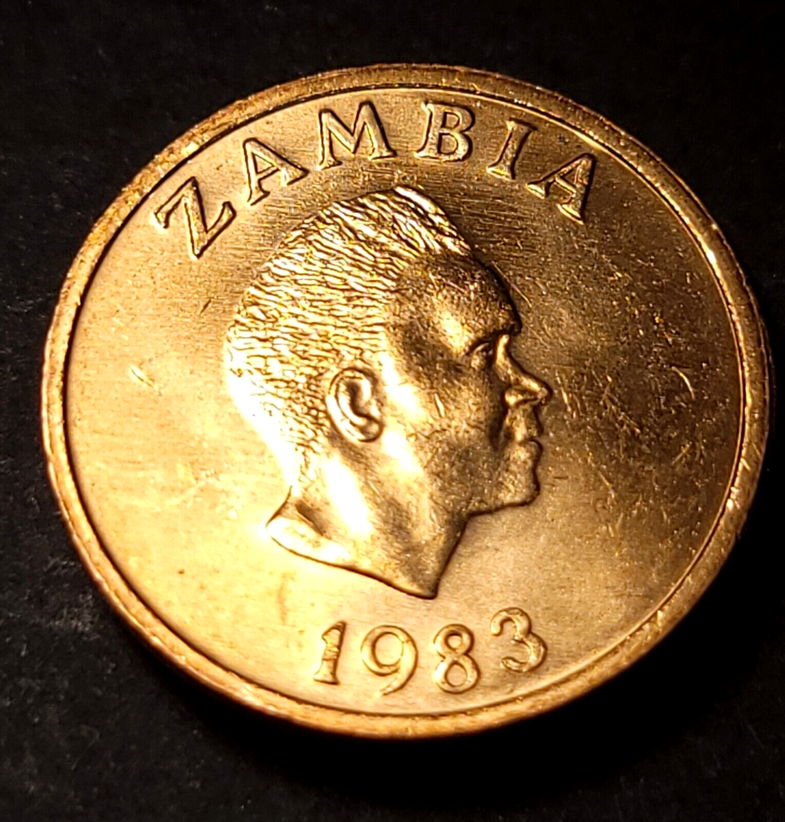 1983 Zambia ONE 1 NGWEE COIN - KM#9A - 17.5MM - AARDVARK - AFRICA