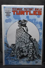 Teenage Mutant Ninja Turtles #3 Jetpack Peter Laird RE Variant IDW 2011 TMNT 8.5