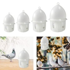 Pigeon Water Feeder Drink Bottle Large Capacity with Hanging Handle Bird Water