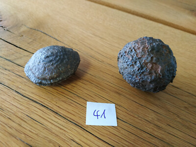 Moqui Marbles -Lebende Steine - wunderschönes  XL Paar - aus Utah/USA- Nr. 41