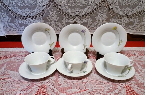 KPM Berlin BERLIN PIANTA Decor 46 - CUP & SAUCER SET w/ Hand Painted WILDFLOWER - Picture 5 of 6