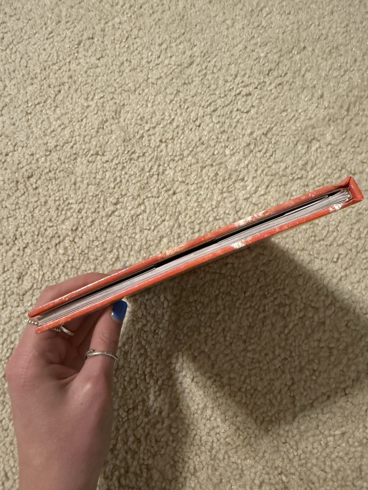 Picture 5 of 5