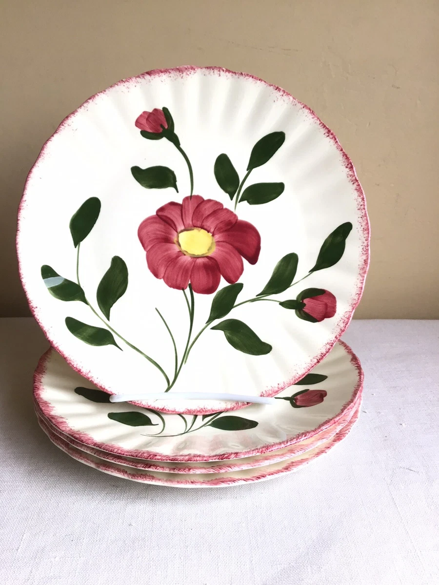 Blue ridge hand painted clearance plates