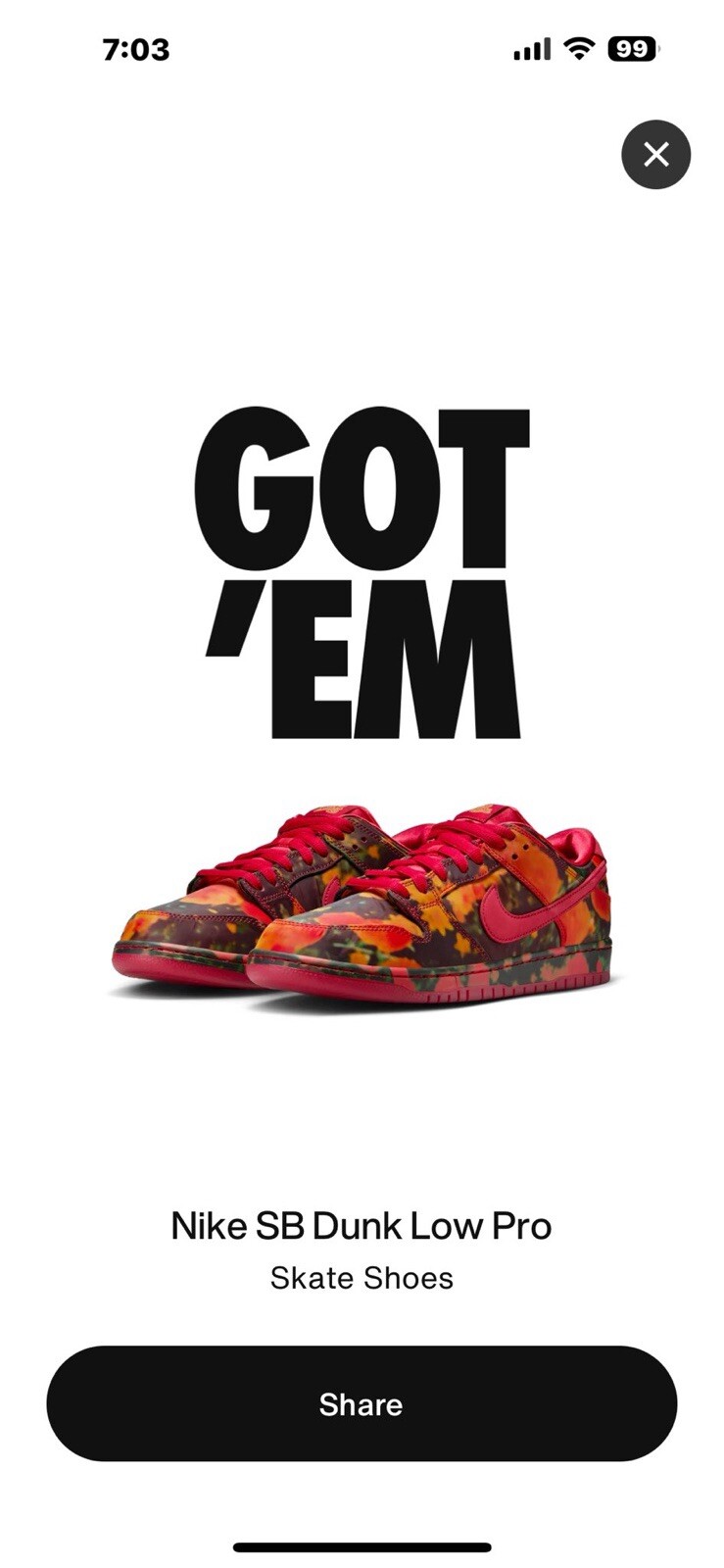 Size 10 - Nike The Wizard of Oz x Dunk SB Low Poppy Field
