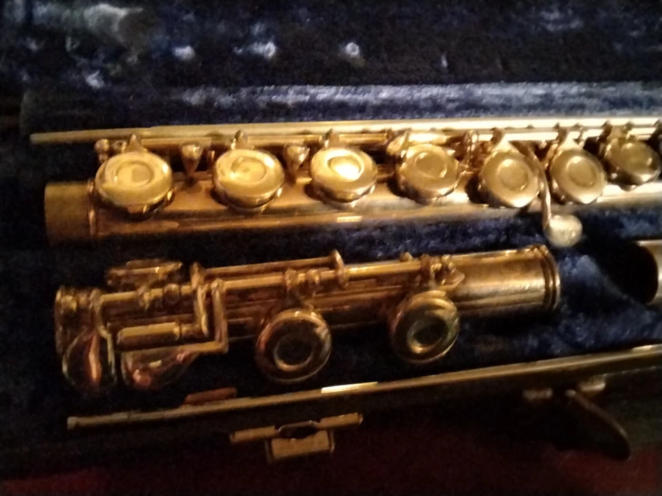 Evette L10 长笛,状况良好,美国 — 第 3/4 张图片