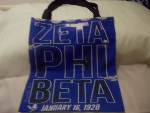 Zeta Phi Beta Shoe Bag