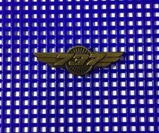 Vintage Boeing 737 Wings Pilot Crew Aviation Jet Airplane Plane Lapel Hat Pin