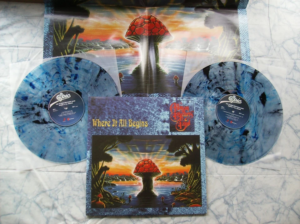 RARE BLUE & BLACK SWIRL ! THE ALLMAN BROTHERS BAND Where It All Begins double LP - Image 2 of 4