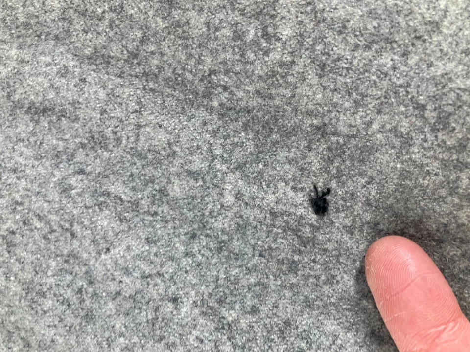 Abrigo de Lana Guess De Colección Para Mujer Grande Gris Cinturón Corte Medio Elegante Informal Botón Delantero Foto 3 de 4