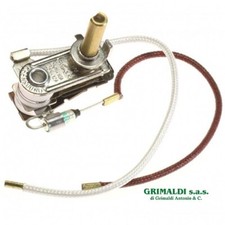 TERMOSTATO REGOLABILE + TERMOFUSIBILE FERRO DA STIRO POLTI M0003471 ORIGINALE
