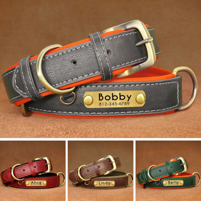 Personalised Dog Collar Soft Padded Leather & Custom Name Engraved Pet ID Tag