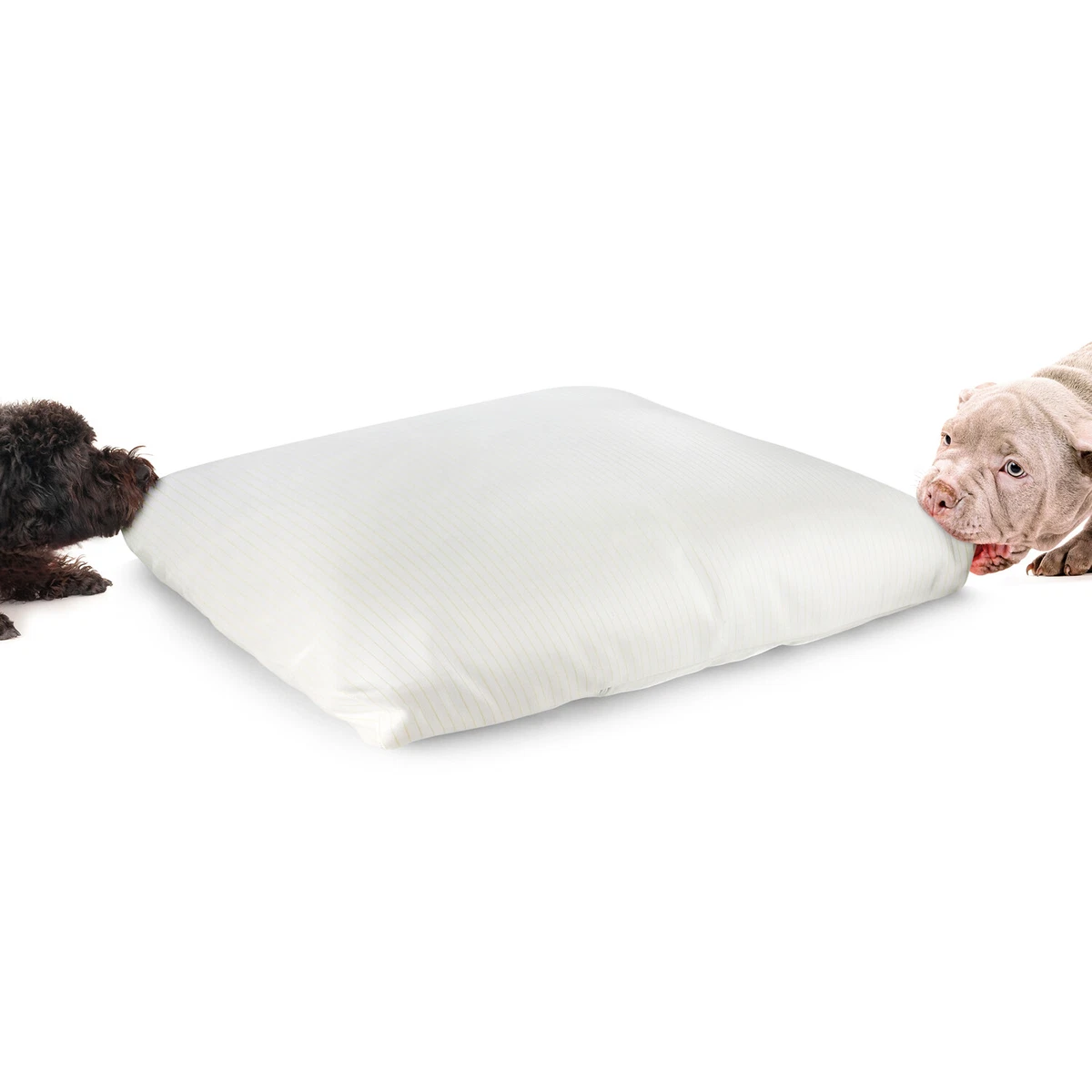 Indestructible dog blanket cheap