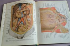 atlas der anatomie des menschen sobotta band 2 eingeweide 1972 gebunden