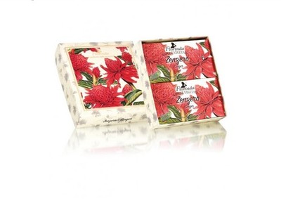 Florinda Geschenkset 2 x Seife Zenzero je 200g