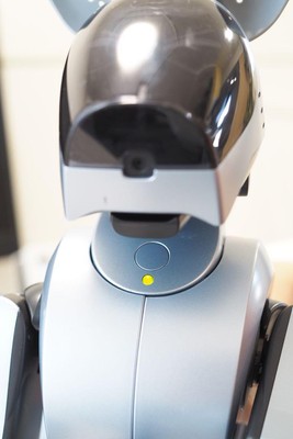 SONY AIBO ERS-210 Dog-Shaped Virtual Pet Robot Silver w