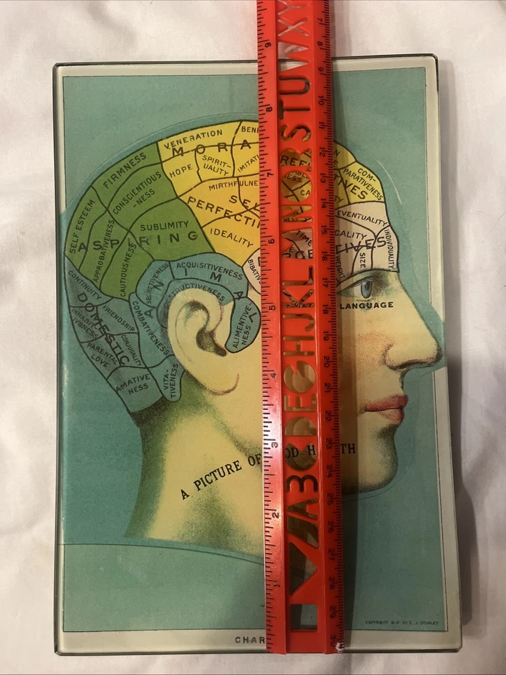Rare VTG John Derian PHRENOLOGY Platter Dish Tray Brain Good Health Glass Signed - Image 3 of 4