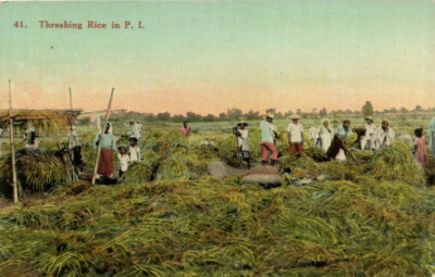 PC PHILIPPINES, THRESHING RICE, Vintage Postcard (B39855)