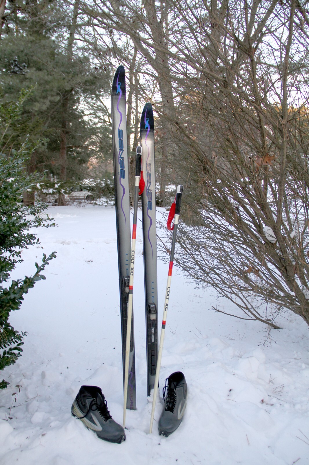 Asnes Explorer Cross Country Skis with Salomon bindings, Colt XC poles