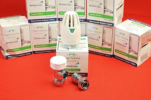 Pegler Terrier Valve Pipe Removal : R/Plumbing - Foto 9