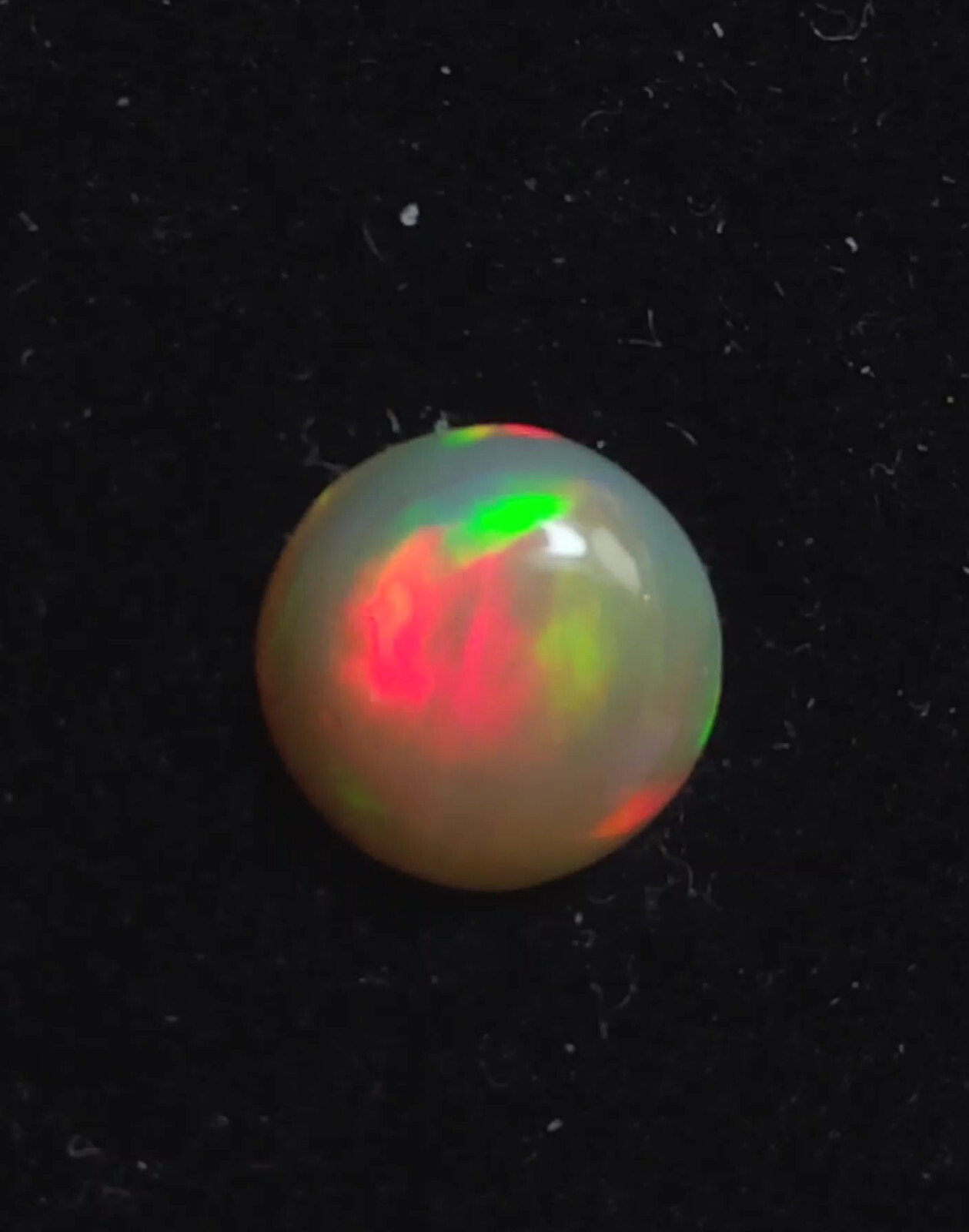 Opale Welo blanche d'Éthiopie 1,32 cts, cabochon rond n°20 de qualité gemme pour joaillerie