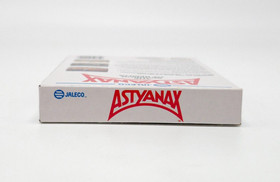Astyanax Nintendo NES USA 🏆 Sammler 🏆