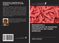 Maher Elsheikh | Aislamiento E IdentificacióN De Bacterias CelulolíTicas Del...
