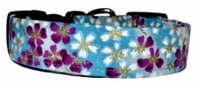 Aqua Purple  White Asian Metallic Flower Blossoms Dog Collar