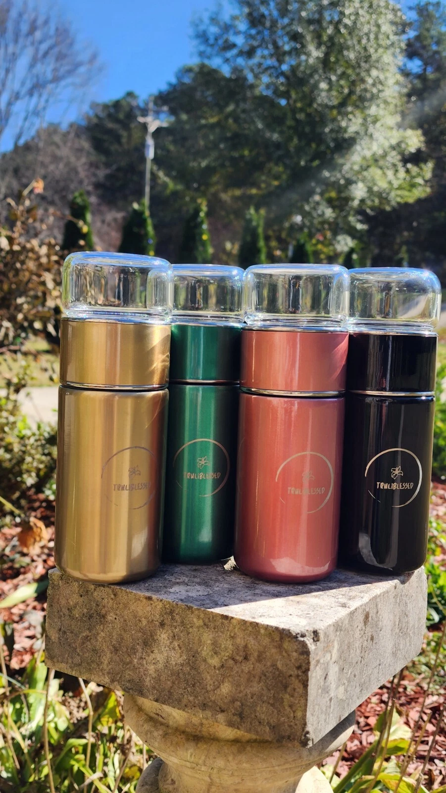 TruliBlessed Thermos Stainless Steel Glass Cup w/ Thermal Tea Mug Infuser
