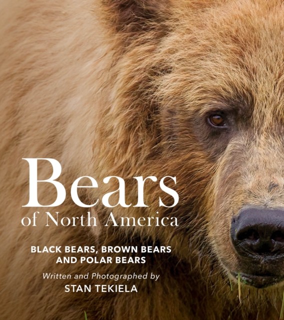 Bears of North America by Stan Tekiela (Paperback Book) - Image 3