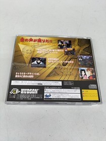 HUDSON Bulk Slash Saturn Software