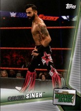 2019 Topps WWE Money in the Bank Wrestling Base or Bronze Cards Pick From List