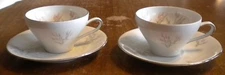 LOT OF 2 WINTERLING BAVARIA GERMANY FINE CHINA CUPS AND SAUCERS 