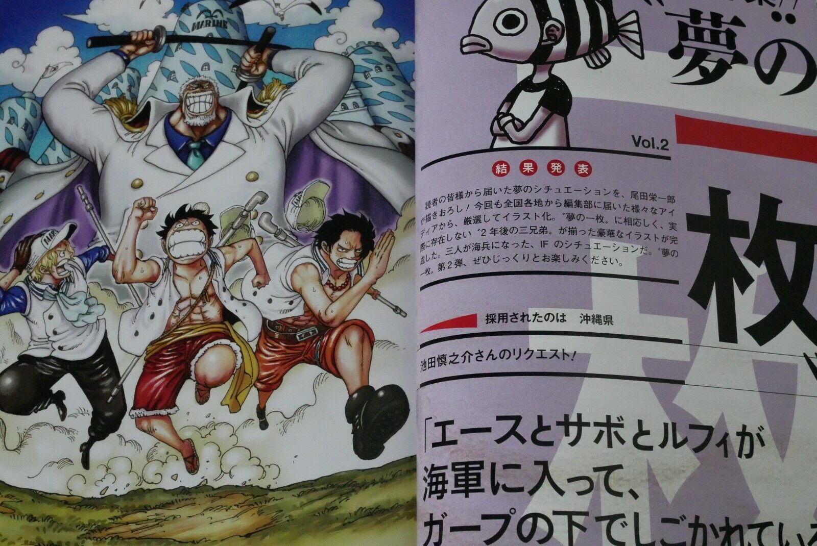 Novas informações sobre os Dragões de One Piece – Magazine Vol. 5