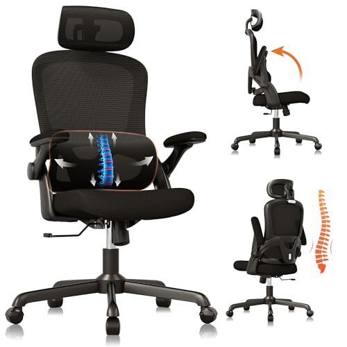 Ergonomic Office Chair, High Back Mesh Desk Chair with Black Americana