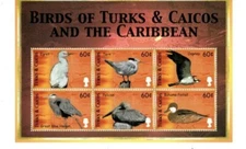 Turks & Caicos 2000 - Birds Of the Caribbean - Sheet of 6 Stamps Scott #1300 MNH